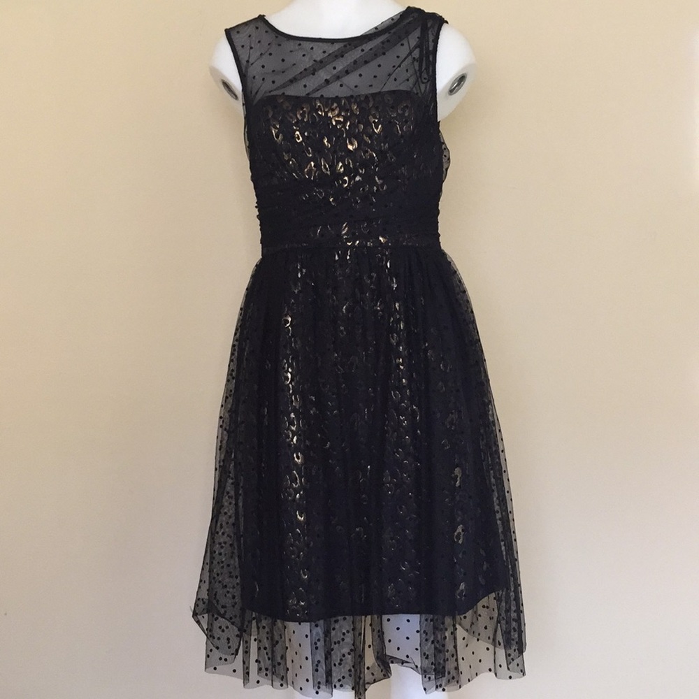 ivy + blu Black with Cheetah Print Dress Size 6